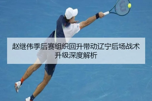 赵继伟季后赛组织回升带动辽宁后场战术升级深度解析